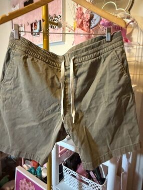 Express Olive Drawstring Hybrid Shorts